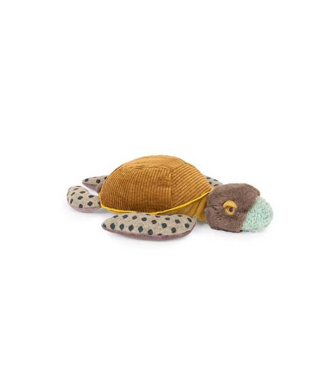 Petite tortue Tout autour du monde Petite tortue Tout autour du monde