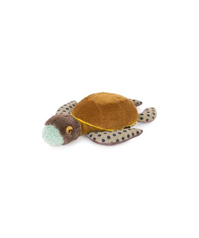 Petite tortue Tout autour du monde Petite tortue Tout autour du monde