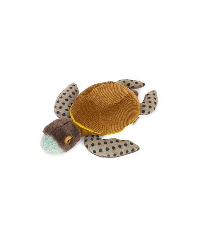 Petite tortue Tout autour du monde Petite tortue Tout autour du monde