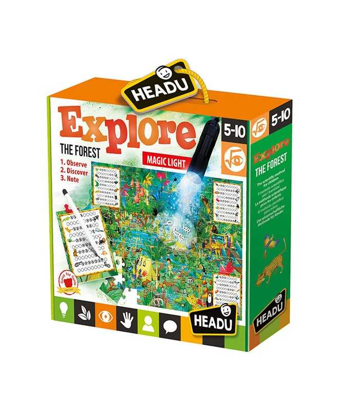 Explore the Forest Explore the Forest