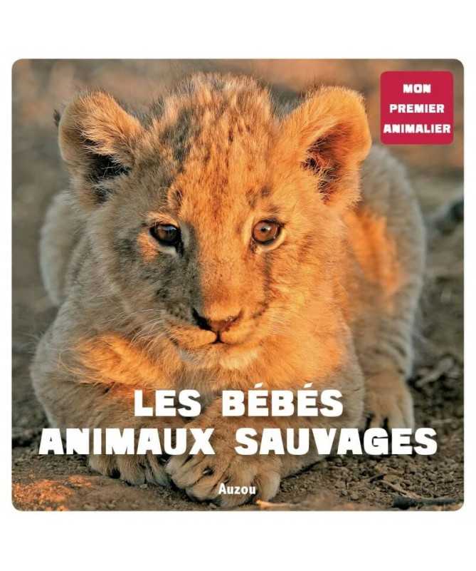 Les Bebes Animaux Sauvages Livres Baraka Jeux