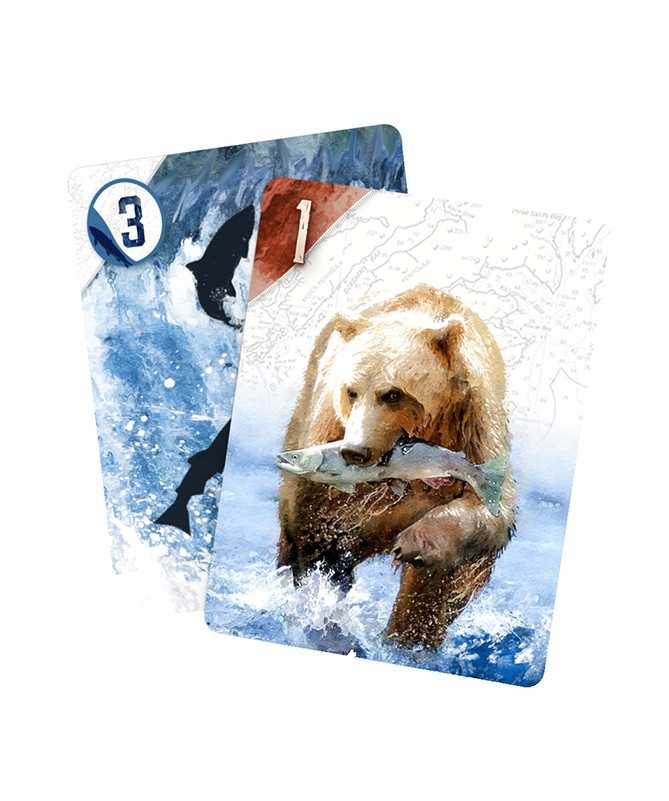 Kodiak Kodiak