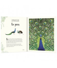 Anthologie illustrée - Animaux Fascinants