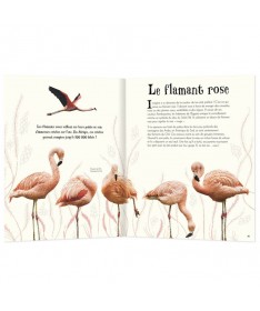 Anthologie illustrée - Animaux Fascinants