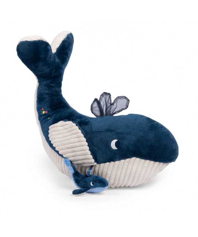 Grande baleine d'activités Les aventures de Paulie Grande baleine d'activités Les aventures de Paulie