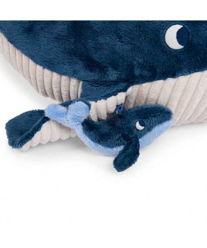 Grande baleine d'activités Les aventures de Paulie Grande baleine d'activités Les aventures de Paulie