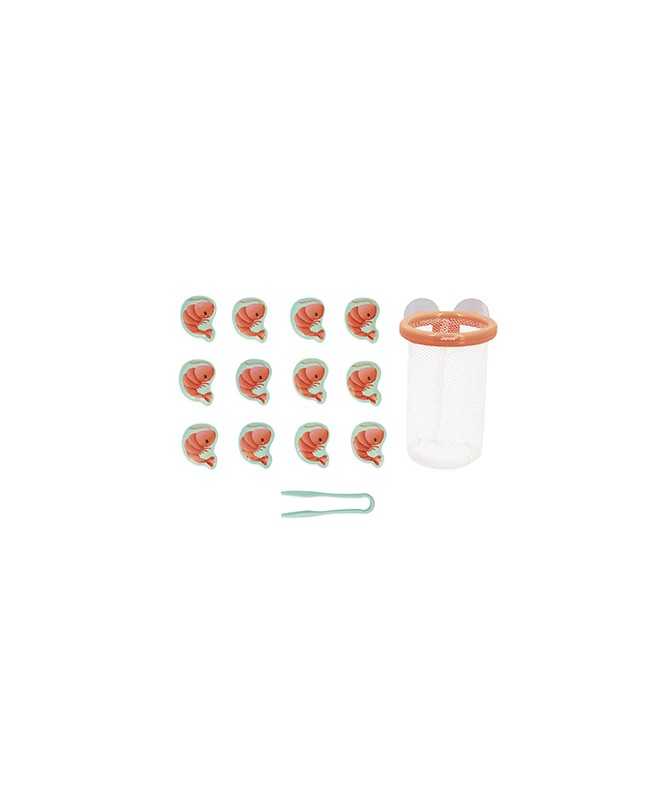 Jouet de bain - Attrape crevettes Jouet de bain - Attrape crevettes