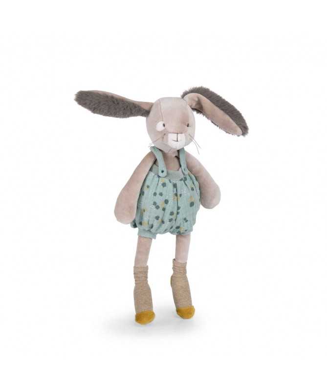 Lapin sauge - Trois petits lapins Lapin sauge - Trois petits lapins