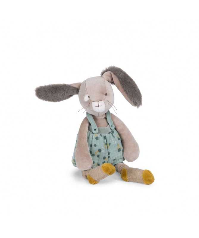 Lapin sauge - Trois petits lapins Lapin sauge - Trois petits lapins