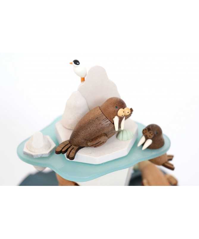 Boîte musique - Ice Cap Boîte musique - Ice Cap