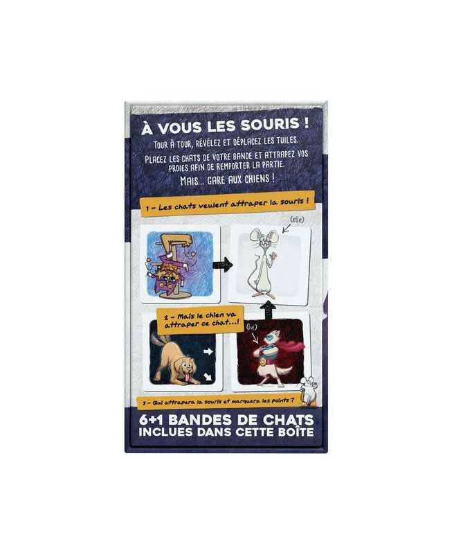 Chats de poche Chats de poche