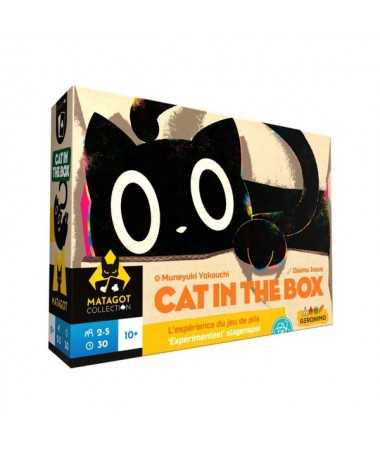 Cat in the box