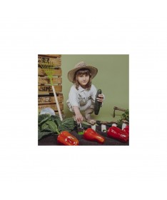 Bouteille sensorielle - Learn - Légumes