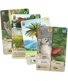 Forêt Mixte ext. Exploration