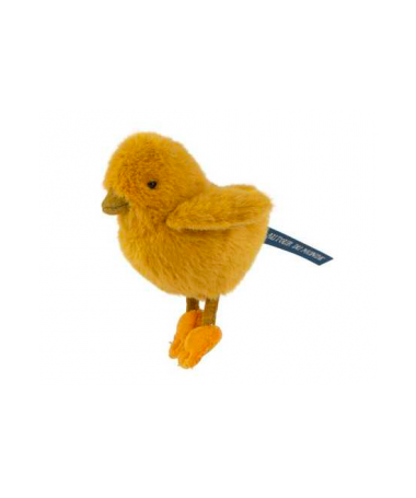 Poussin Tout autour du monde