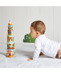Ma première pyramide poule - Ferme