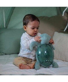 Tranquil TurtleTM - Green Rechargeable