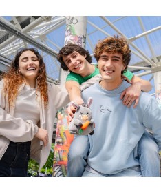 SUPER SOFT! - DONKEY