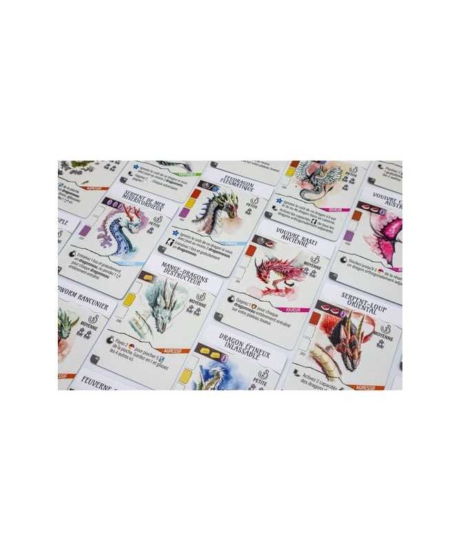 Wyrmspan ext. L'Académie des Dragons