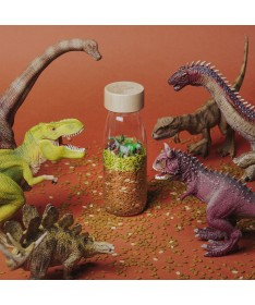 Sensory Bottle - Bouteille sensorielle jurassic
