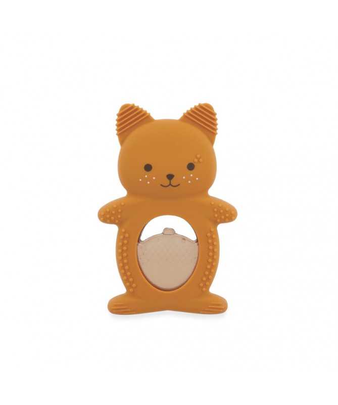 Duo dentition réfrigéré - Ecureuil