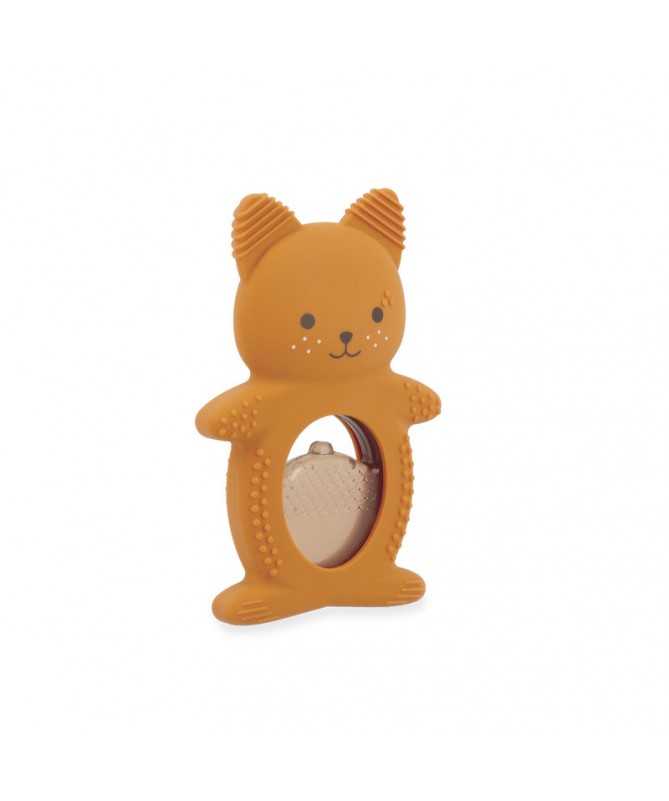 Duo dentition réfrigéré - Ecureuil