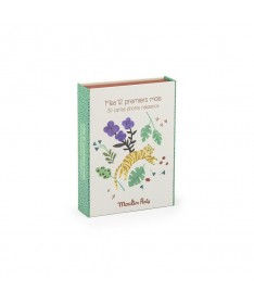Cartes Mes 12 premiers mois La forêt Mawa (30 cart