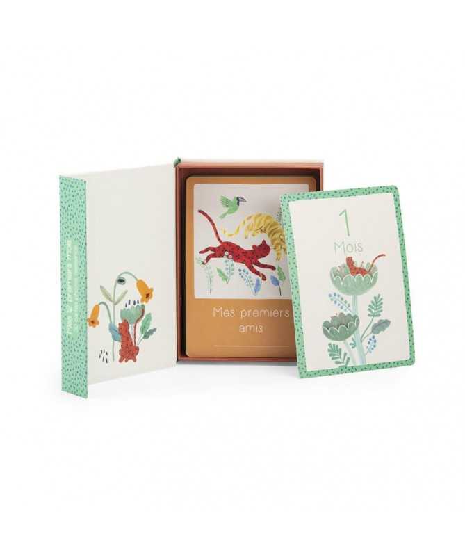 Cartes Mes 12 premiers mois La forêt Mawa (30 cart