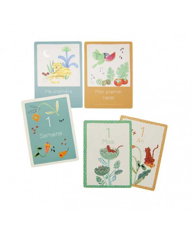 Cartes Mes 12 premiers mois La forêt Mawa (30 cart