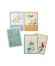 Cartes Mes 12 premiers mois La forêt Mawa (30 cart