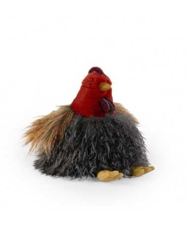 Poule - Tout autour du monde