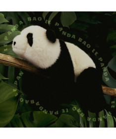 Peluche Lestée - 350 gr - Bao le Panda