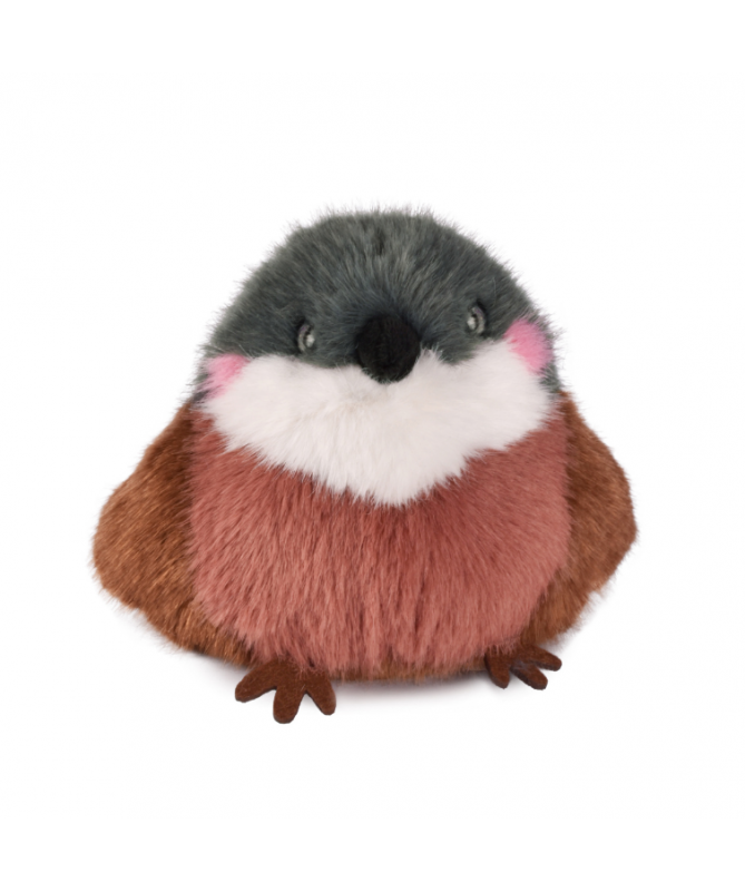 LES CUI-CUI PARADIS - Moineau