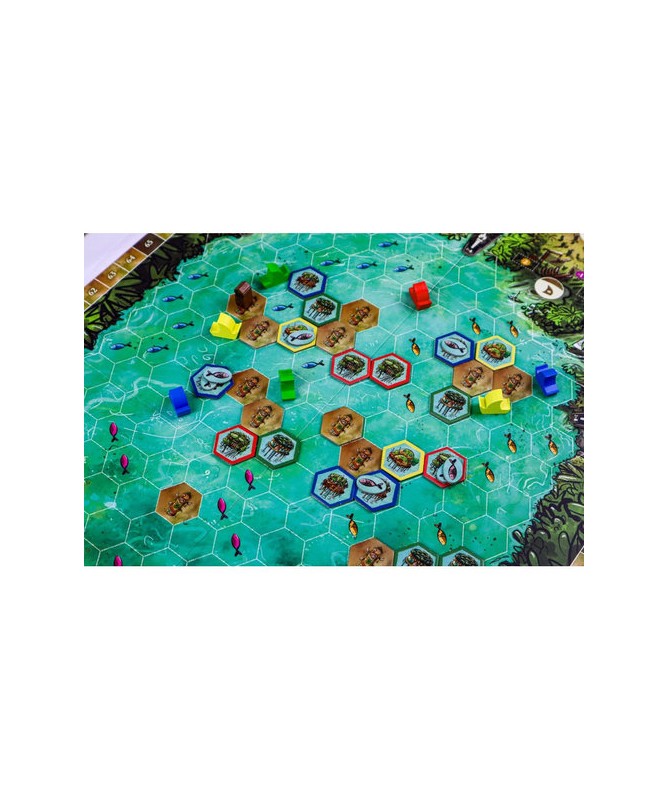Feya's Swamp