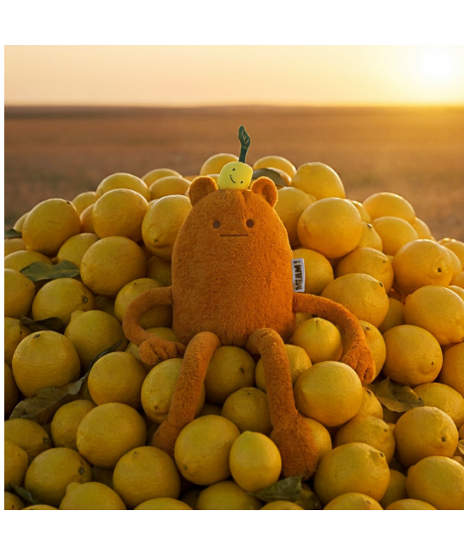 MIAM ! - John Lemon 40 cm - orange citron