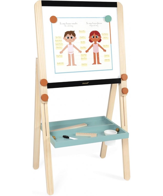 Tableau de la maitresse