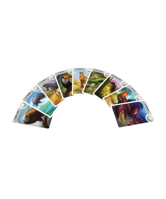 Cardline - Animaux Cardline - Animaux