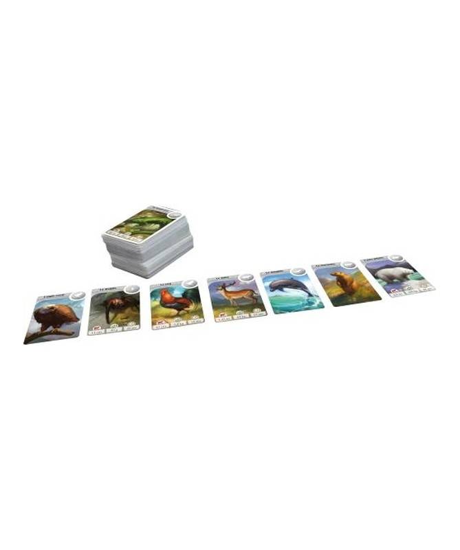 Cardline - Animaux Cardline - Animaux