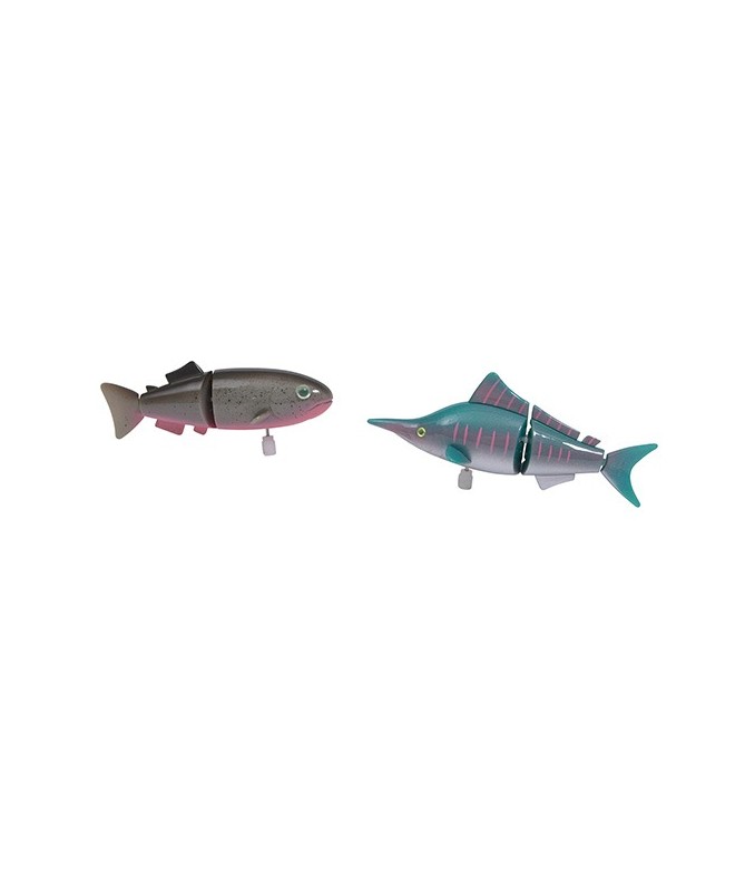 Poissons Les petites merveilles Poissons Les petites merveilles