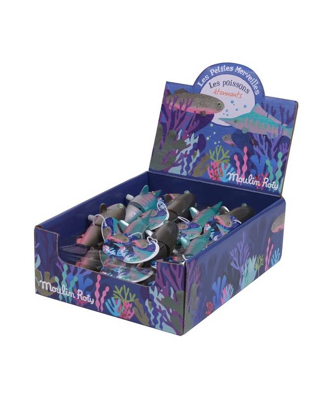 Poissons Les petites merveilles Poissons Les petites merveilles