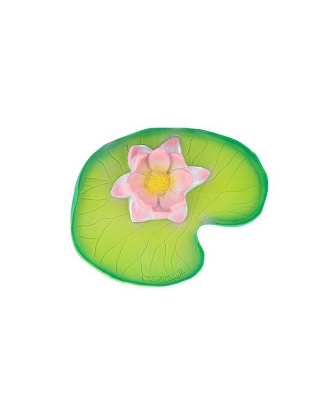 Water Lily Water Lily