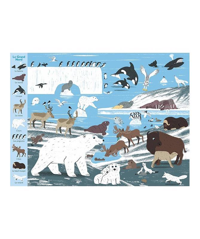 Livre Mon grand tour du monde des animaux Livre Mon grand tour du monde des animaux