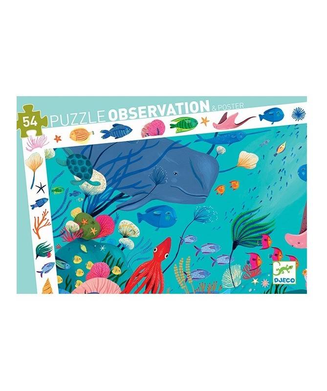 Aquatique (54Pcs) Aquatique (54Pcs)