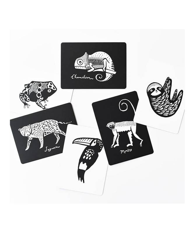 Cartes artistiques - Forêt tropicale Cartes artistiques - Forêt tropicale