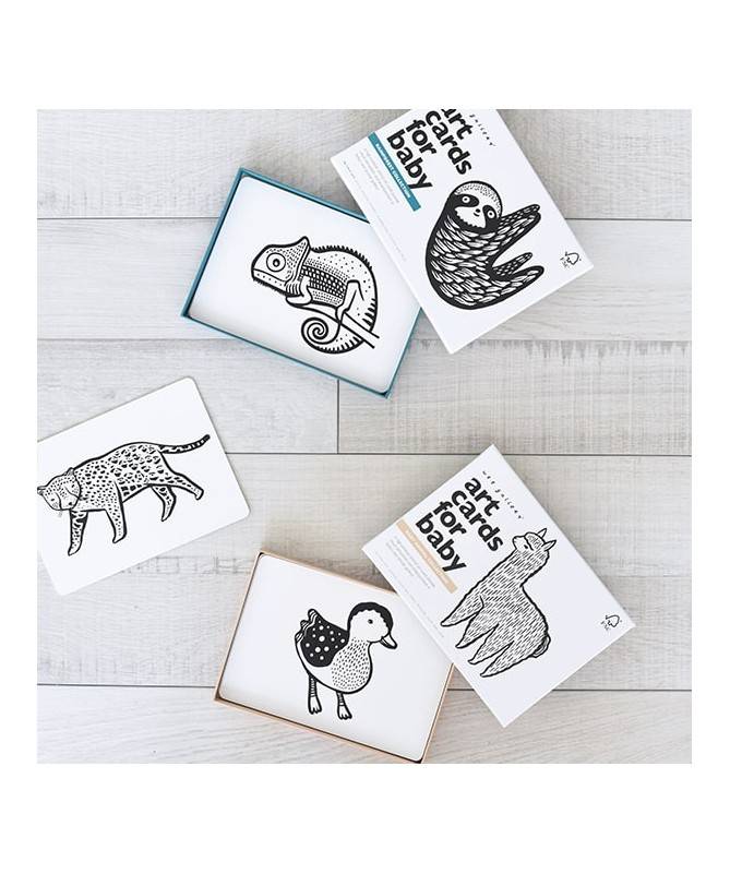 Cartes artistiques - Forêt tropicale Cartes artistiques - Forêt tropicale