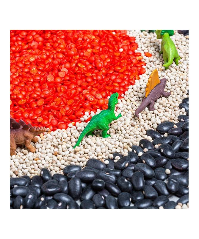 Bouteille sensorielle - Observation - Dinosaures Bouteille sensorielle - Observation - Dinosaures