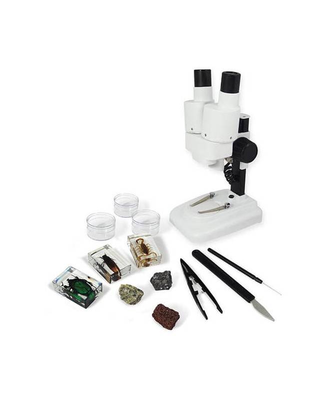 Microscope Binoculaire 3D Microscope Binoculaire 3D