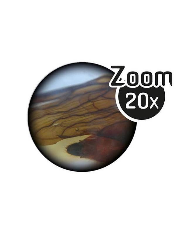 Microscope Binoculaire 3D Microscope Binoculaire 3D