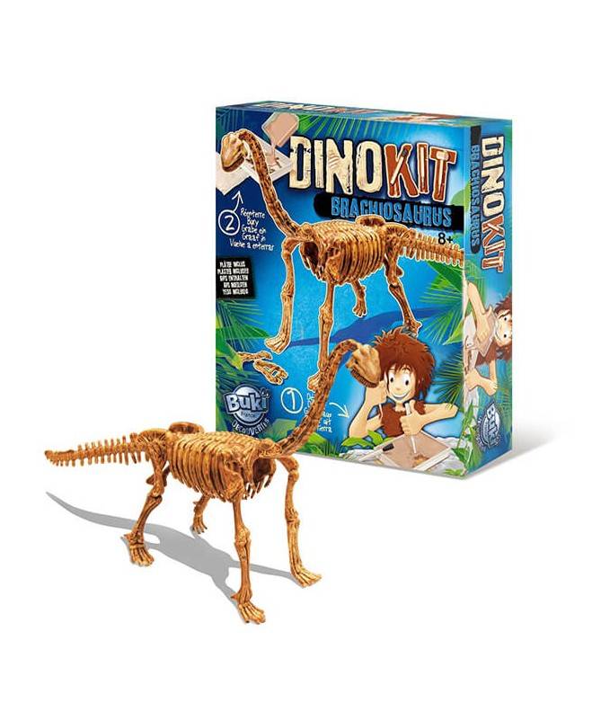 Dino Kit - 4 modèles assortis