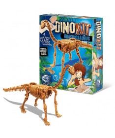 Dino Kit - 4 modèles assortis